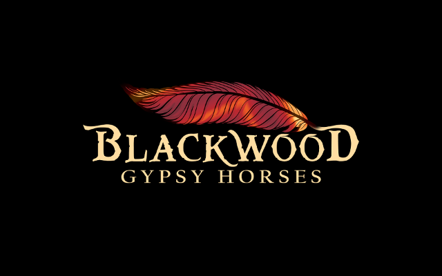 Blackwood Gypsy Horses